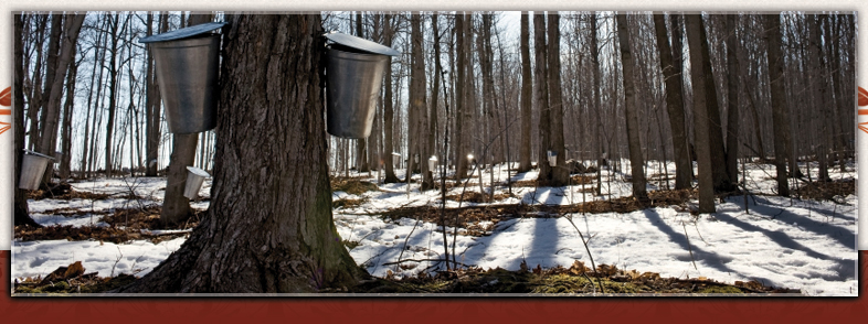 Cabane &agrave; sucre Top Image 1